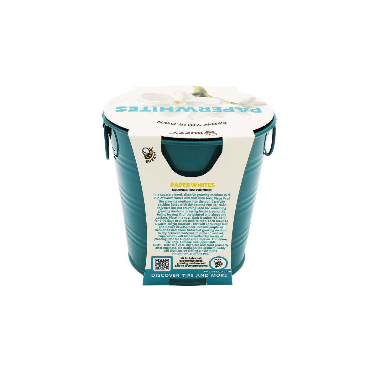 Paperwhite Bulb Grow Kit in Teal Pail
