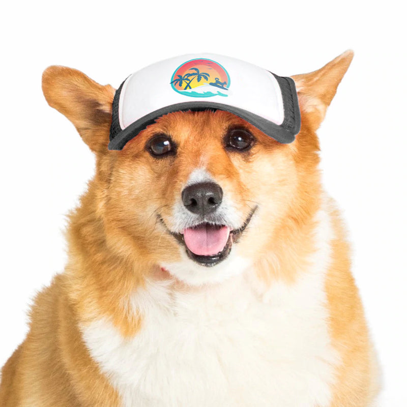 Trucket Hat for Dogs